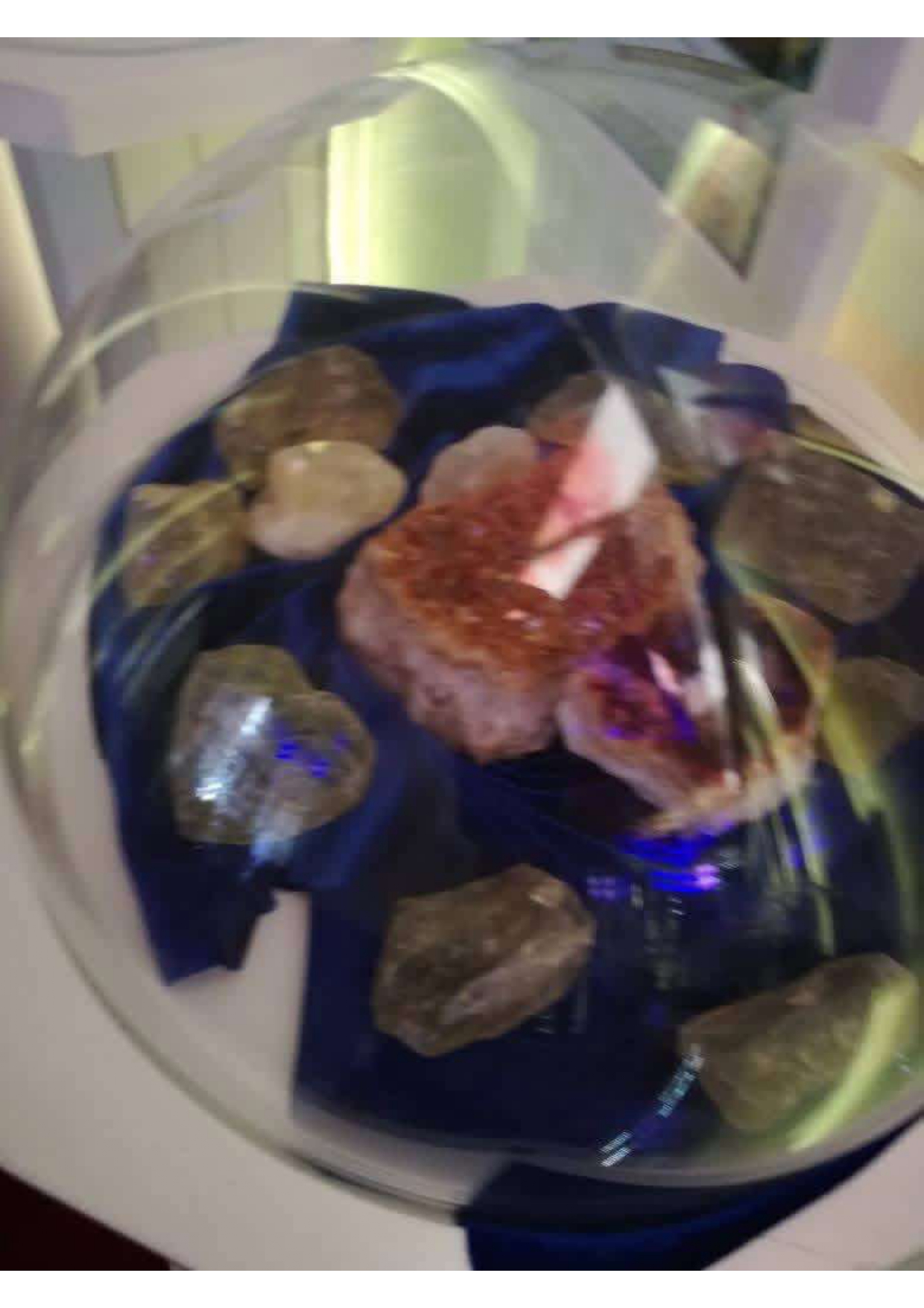 Curated Multi-Stone Exhibit
